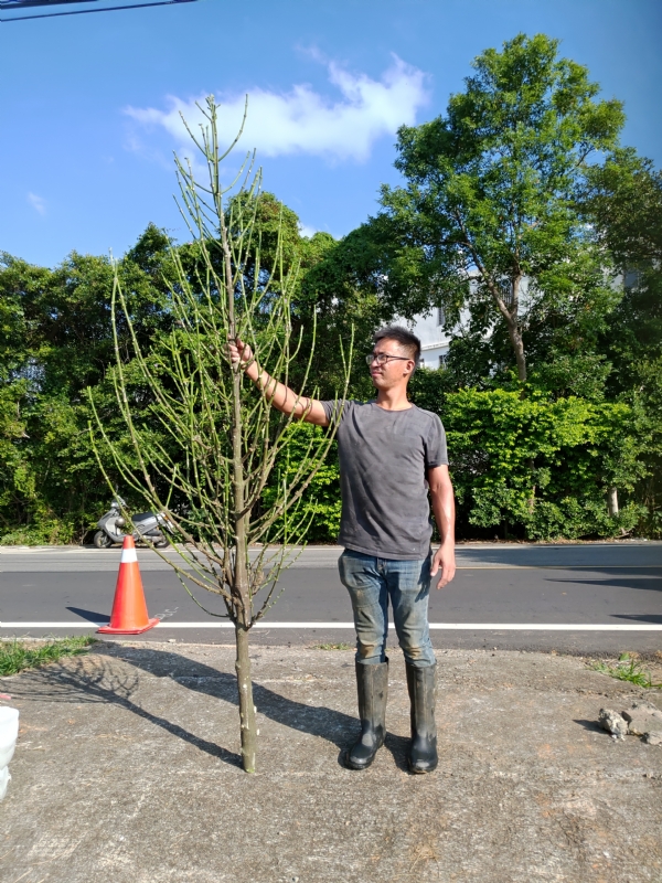 jeff的第二张照片--福建征婚网