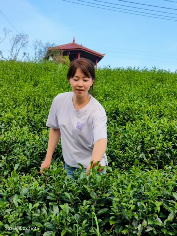 Q绮芳的第一张照片--福建征婚网
